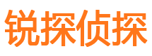 无极侦探公司